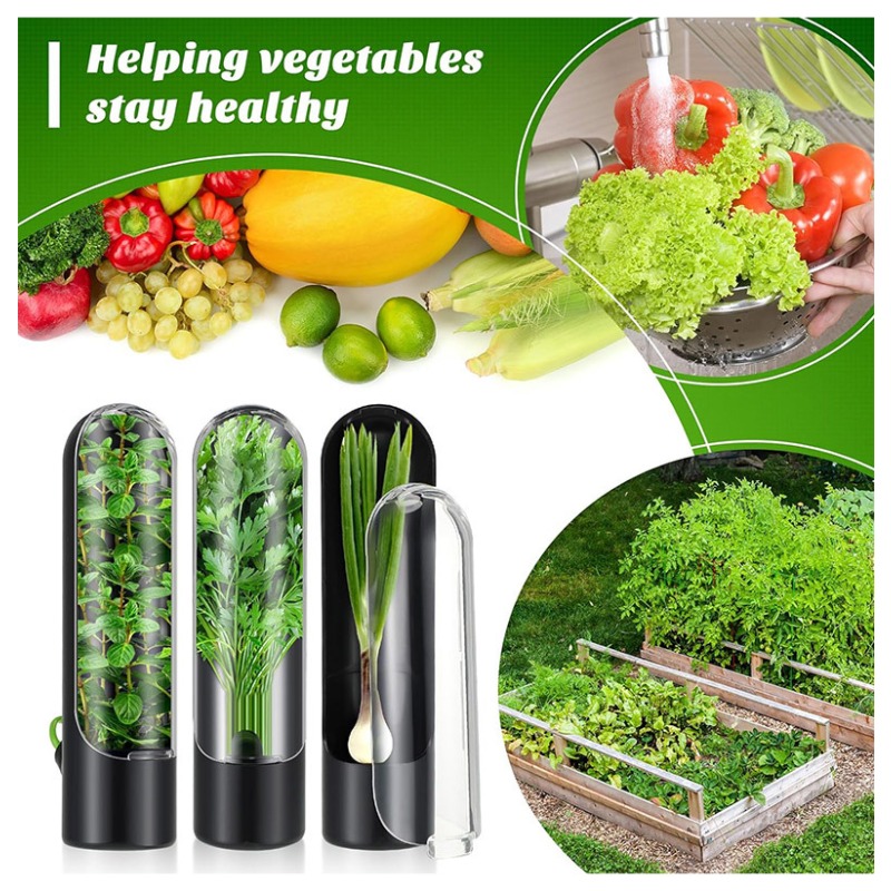 Herb Keeper Bottle - 1/2/3 Pezzi Contenitore per la Conservazione