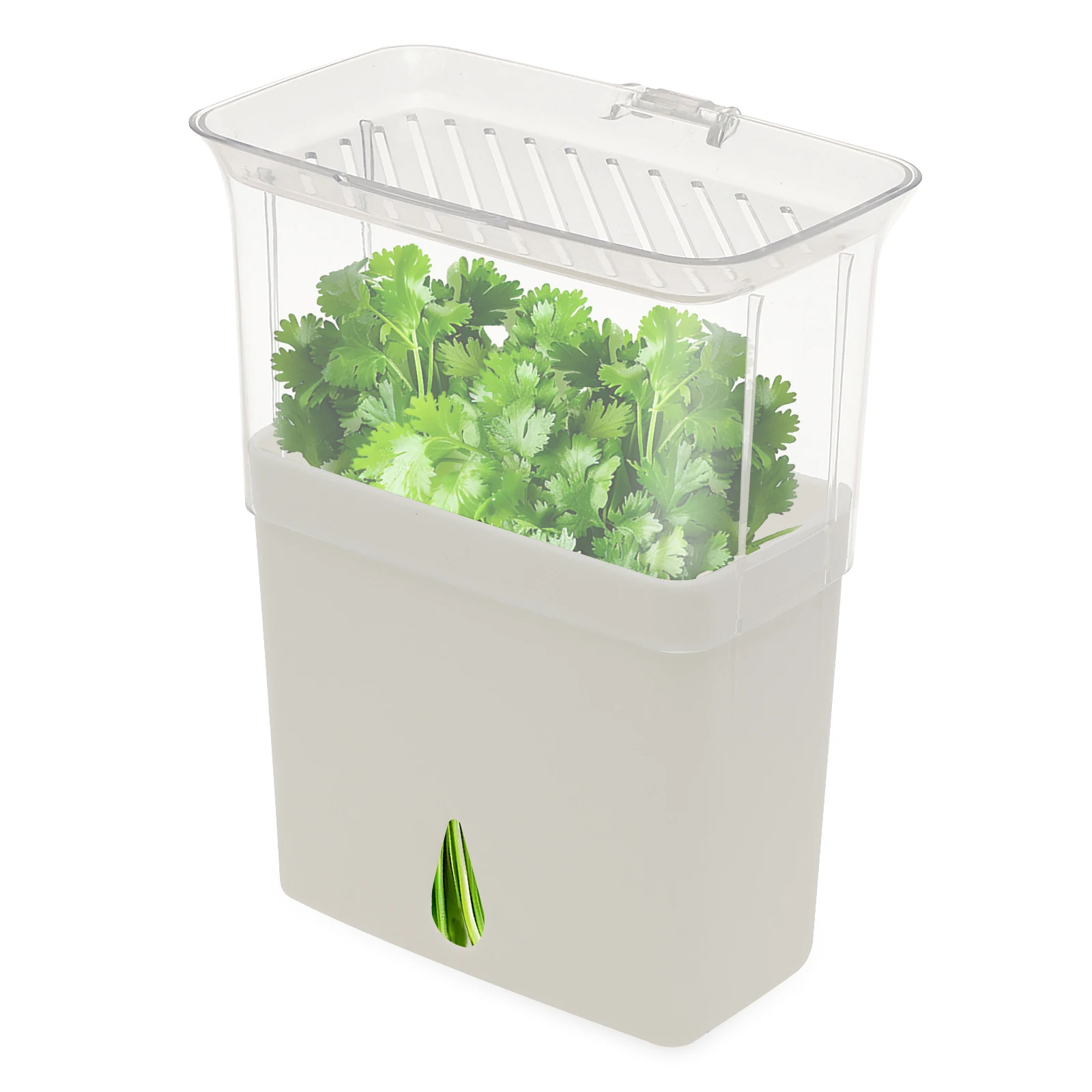 Herb Keeper Bottle - Contenitore Trasparente per la Conservazione delle