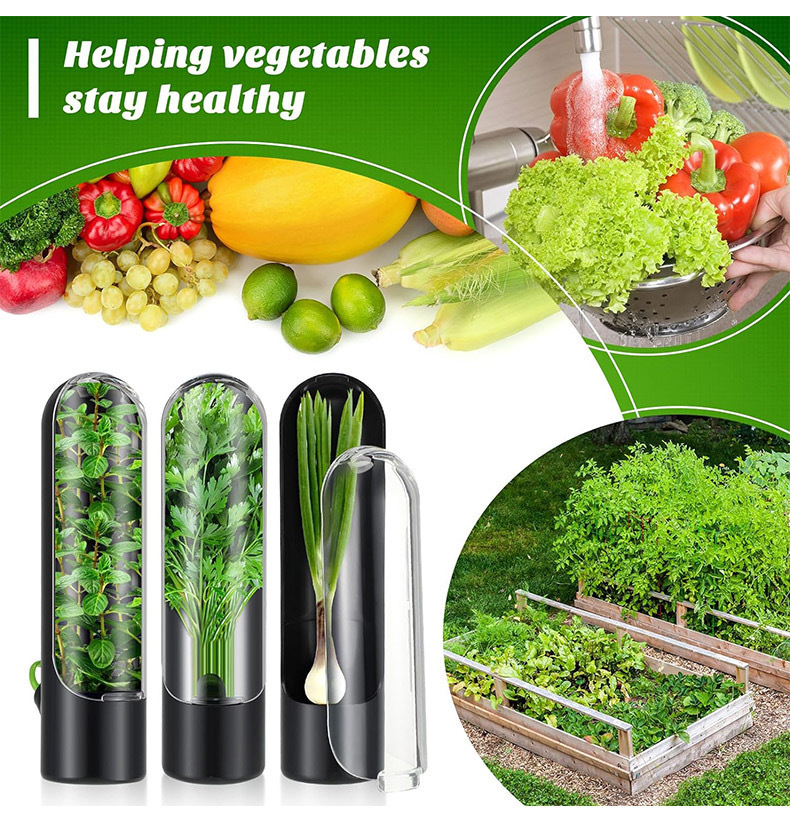 Herb Keeper Bottle - Bottiglia per la conservazione di verdure