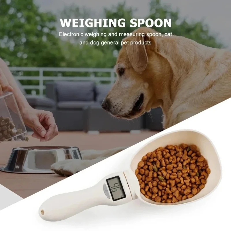 Cucchiaio Digitale LCD per Mis - Portion Scale Digital recensione e prezzo