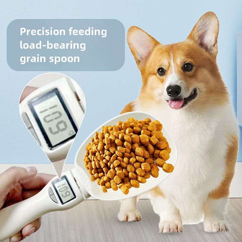 Bilancia misurino digitale per - Portion Scale Digital recensione e prezzo