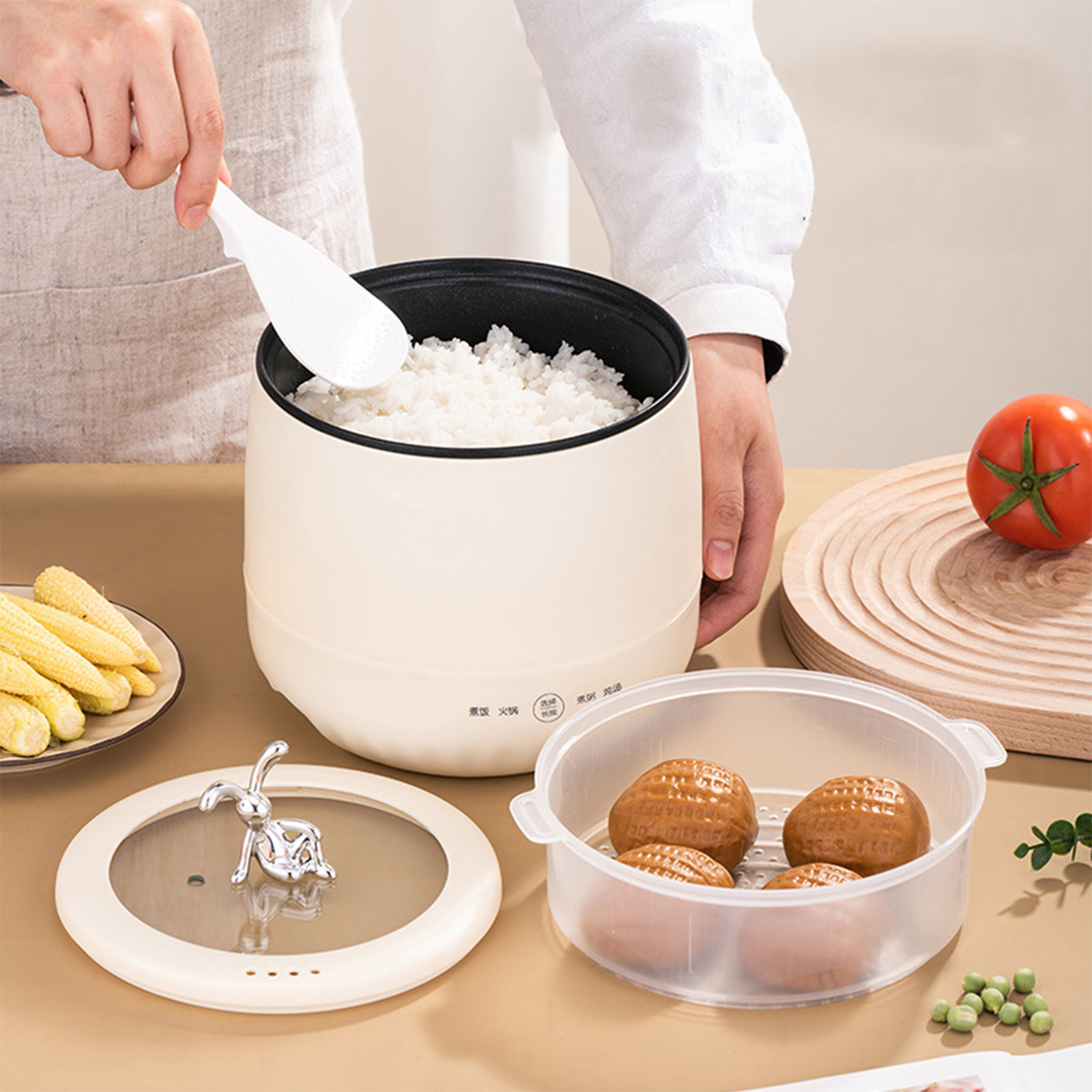 Mini fornello di riso elettric - Meal Prep With Rice recensione e prezzo