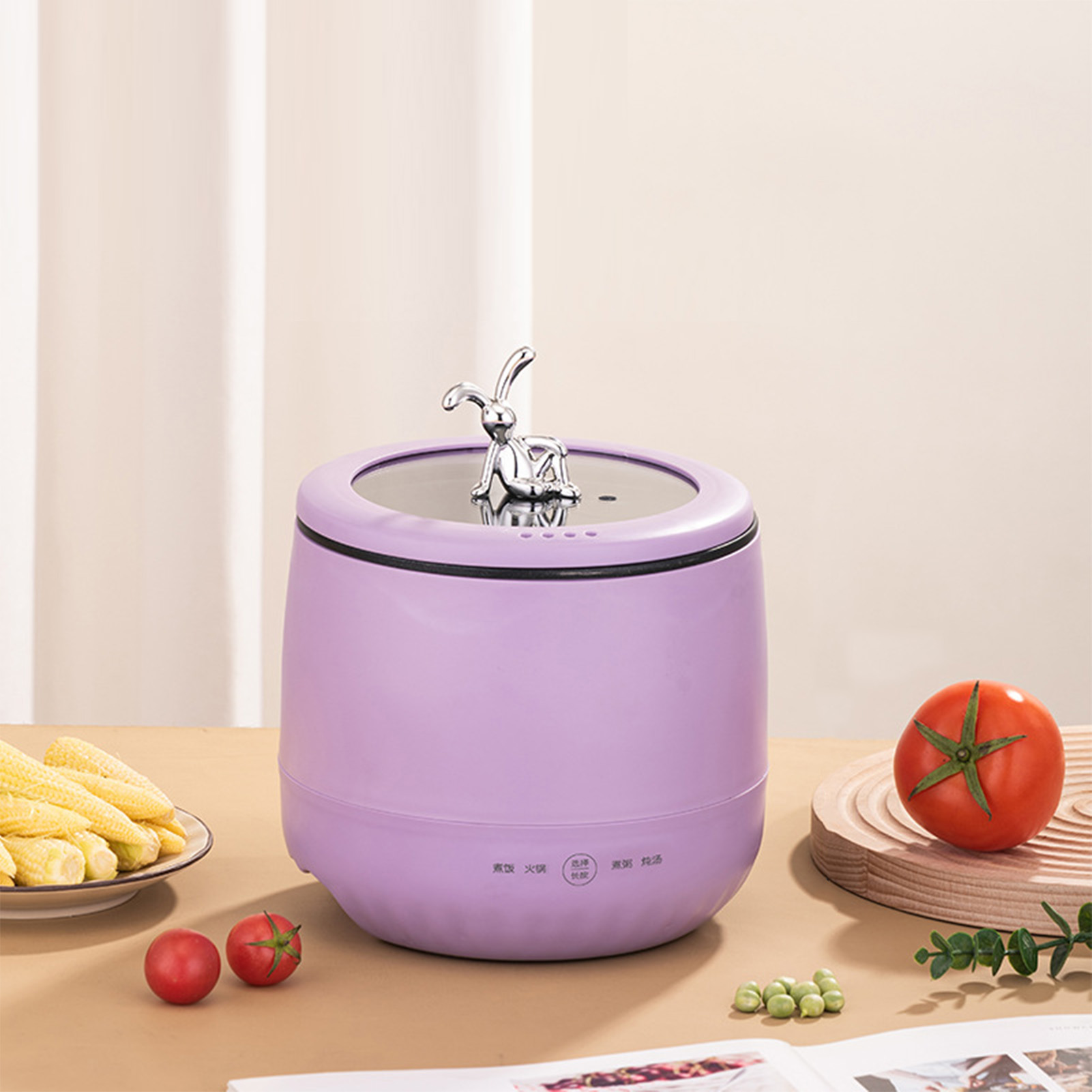 Mini fornello di riso elettric - Meal Prep With Rice recensione e prezzo