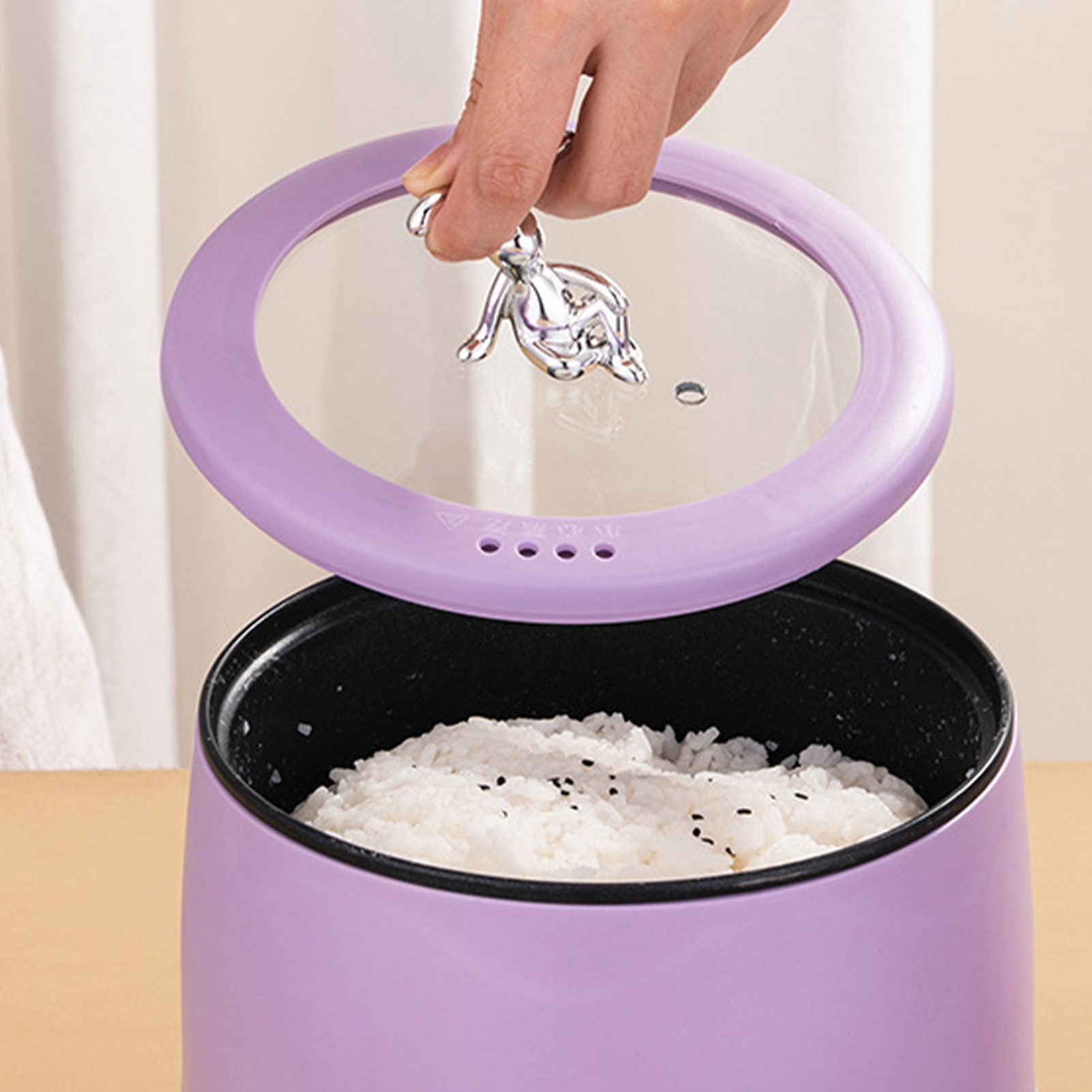 Mini fornello di riso elettric - Meal Prep With Rice recensione e prezzo