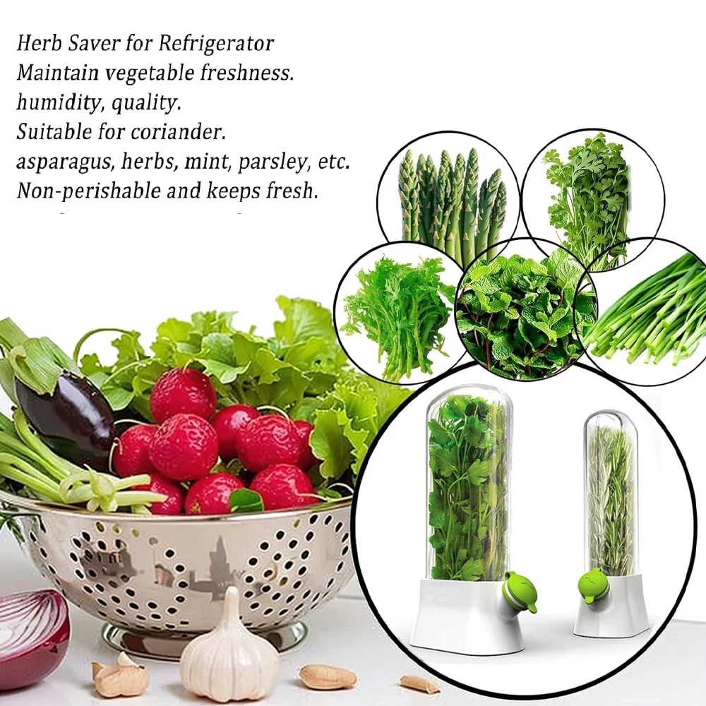 Contenitore per la conservazio - Herb Keeper Bottle recensione e prezzo