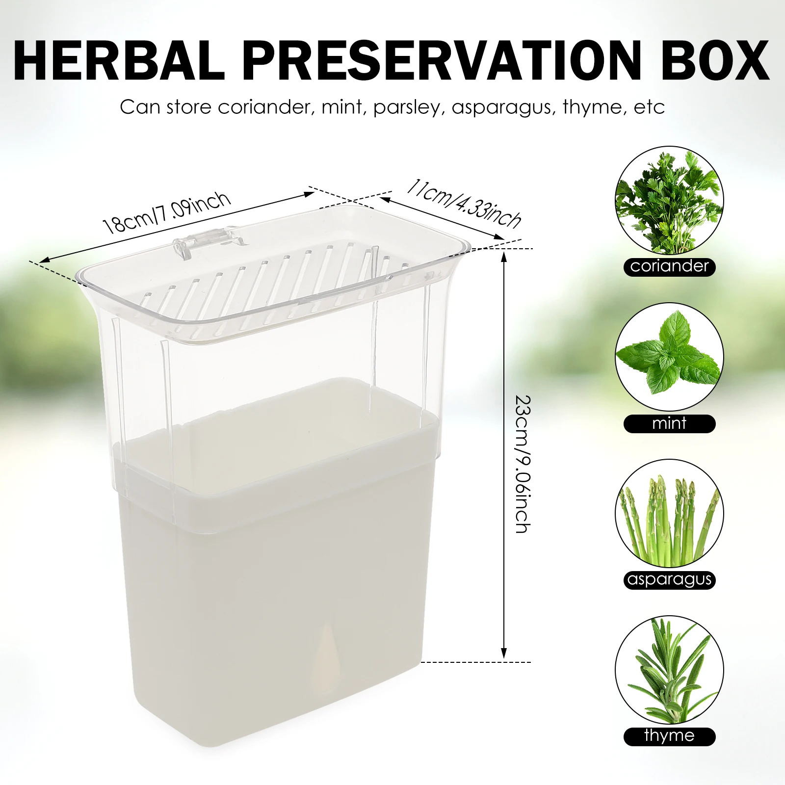 Contenitore Trasparente per la - Herb Keeper Bottle recensione e prezzo