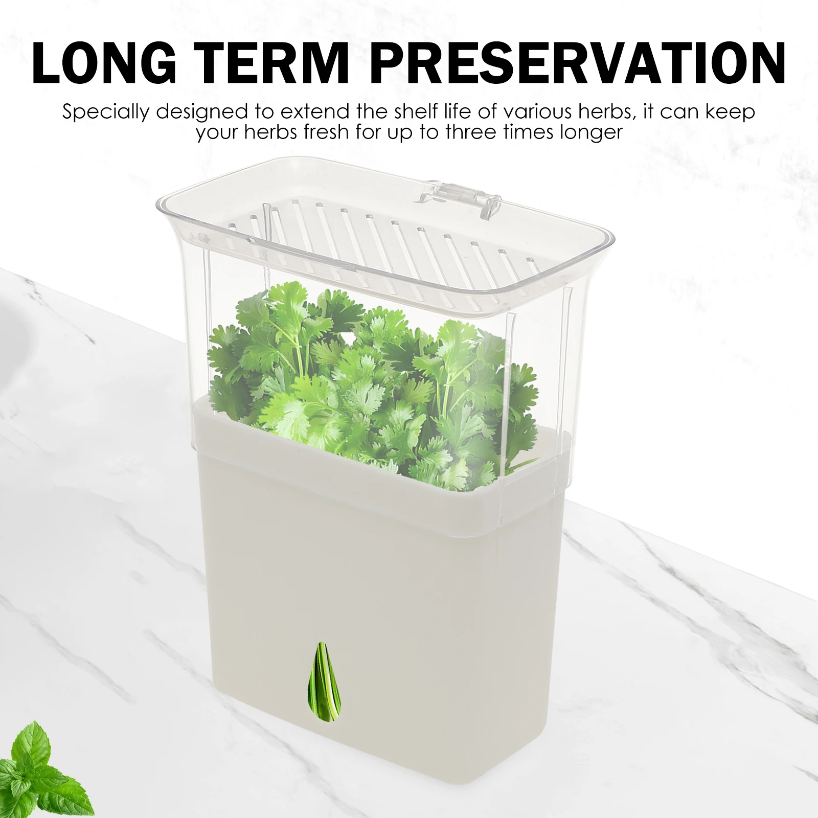 Contenitore Trasparente per la - Herb Keeper Bottle recensione e prezzo