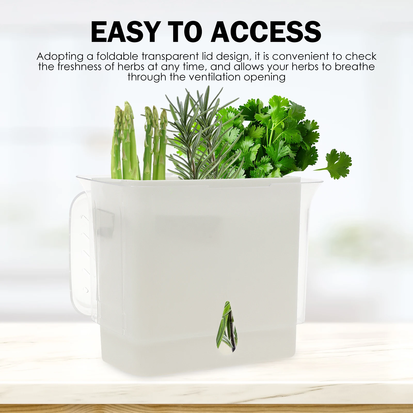 Contenitore Trasparente per la - Herb Keeper Bottle recensione e prezzo