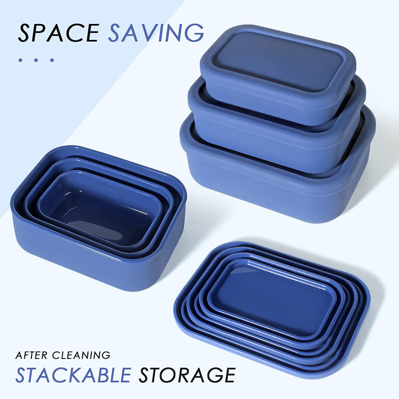 Bento Lunch Box resistente all - Meal Prep Lunch Boxes recensione e prezzo