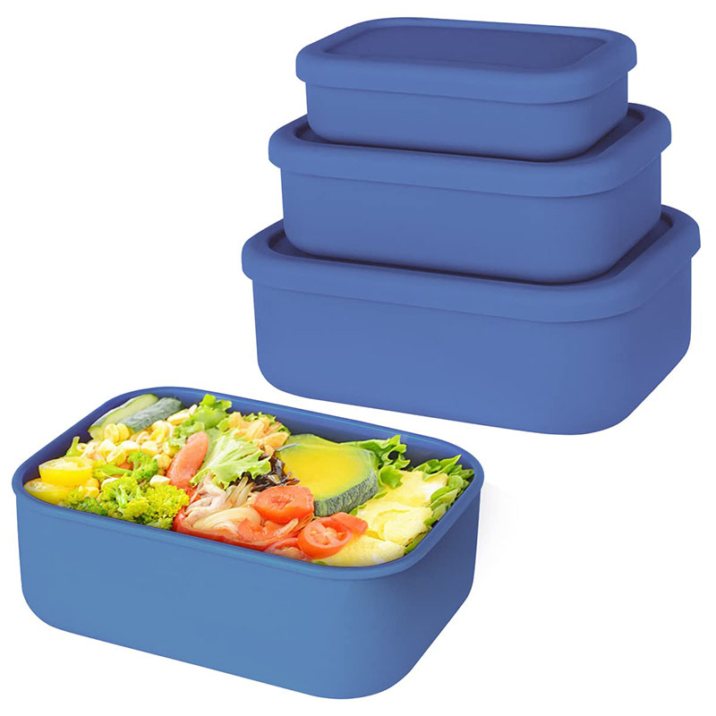 Bento Lunch Box resistente all - Meal Prep Lunch Boxes recensione e prezzo