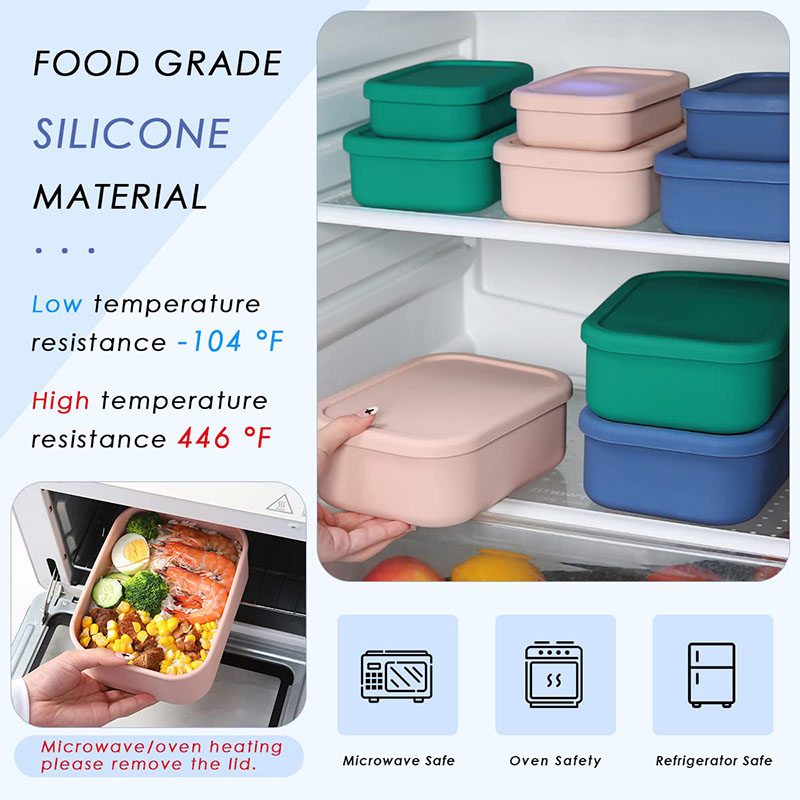 Bento Lunch Box resistente all - Meal Prep Lunch Boxes recensione e prezzo